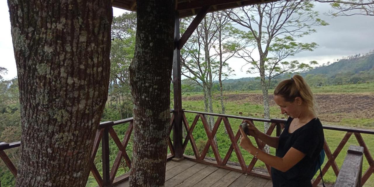 Cheap Inn Banyuwangi Banyuwangi  Luaran gambar
